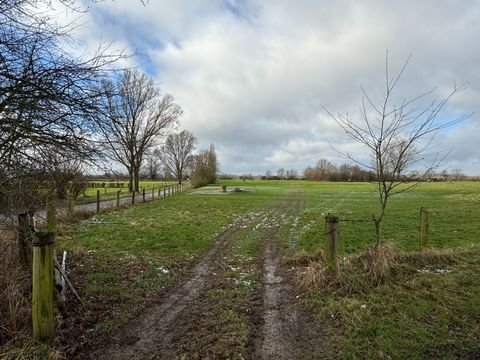 Drakenburg Bauernhöfe, Landwirtschaft, Drakenburg Forstwirtschaft