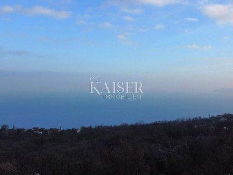 Zapad Bauernhöfe, Landwirtschaft, Zapad Forstwirtschaft