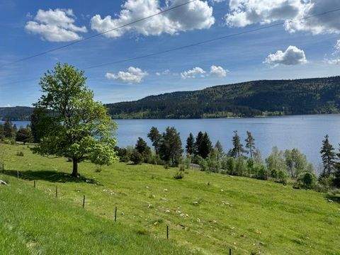 Schluchsee Wohnungen, Schluchsee Wohnung mieten