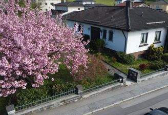 DJI_0333.JPG