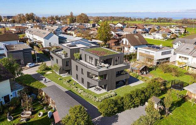 Gaissau Ofenstrasse_aerial_1_003