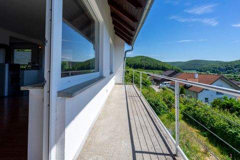 Schelklingen Häuser, Schelklingen Haus kaufen