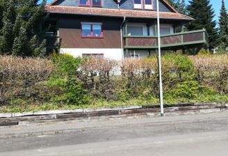IMG_20250403_133400.jpg