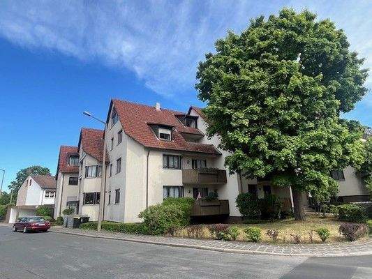 Moritz Ansicht mit Baum neu.jpg