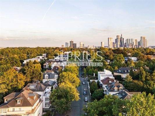 Immobilien_Prius_Drohne_Horizo