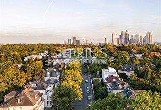 Immobilien_Prius_Drohne_Horizo