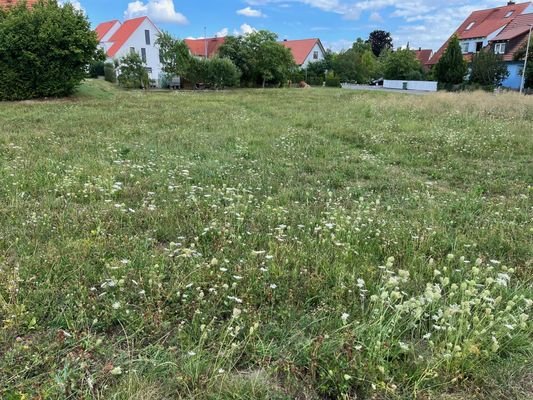 Herrlicher Bauplatz