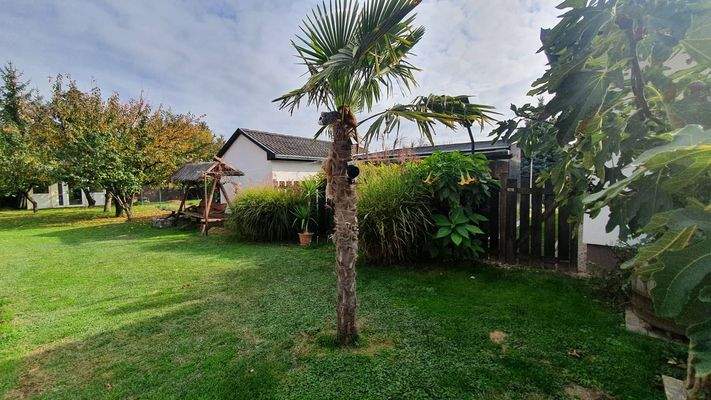 312397893_1104019270251479_7407267834254823556_n.j