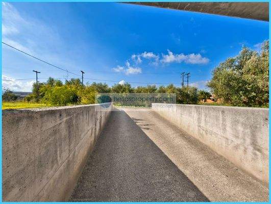 01730b55203b4b69a65693392a588a06-original