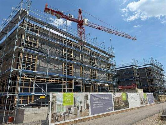 250618_flora²_Bautenstand