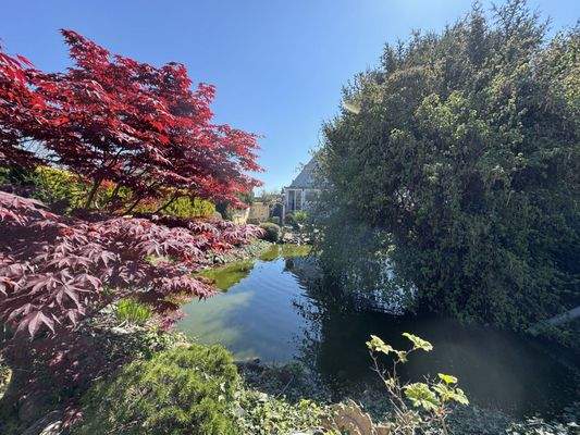 So schön kann Garten sein