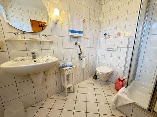 Gäste-Bad mit Dusche im Erdgeschoss