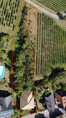 Grundstück Maikammer mit HUF Bauprojekt (1).PNG