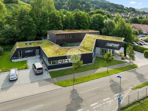 Sulzburg Büros, Büroräume, Büroflächen 