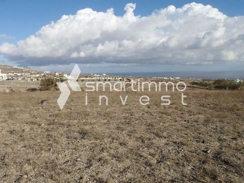 Karterados, Santorini - Thira Bauernhöfe, Landwirtschaft, Karterados, Santorini - Thira Forstwirtschaft