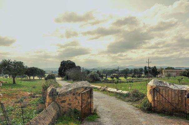 176_02_San Lorenzo_Anwesen_Auffahrt