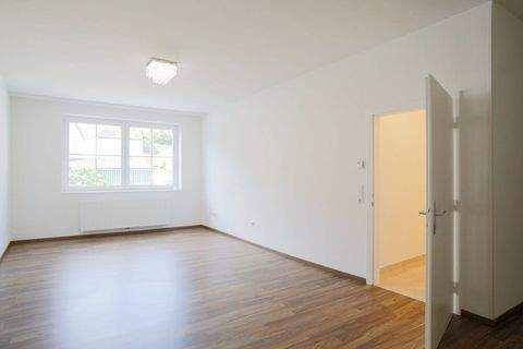 Retz Wohnungen, Retz Wohnung mieten