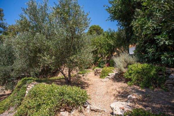 Kreta, Xamoudochori: Idyllische Residenz mit Apartments und Olivenhain zu verkaufen