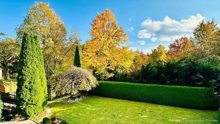 Ausblick in den Garten