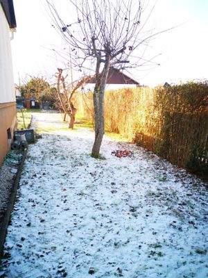 Gebäude,- Grundstücks- Ansichten (9).jpg