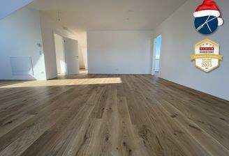 Wohnzimmer, Parkett, 38 m²