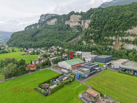 Hohenems Halle, Hohenems Hallenfläche