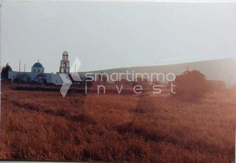 Agios Georgios, Santorini - Thira Bauernhöfe, Landwirtschaft, Agios Georgios, Santorini - Thira Forstwirtschaft