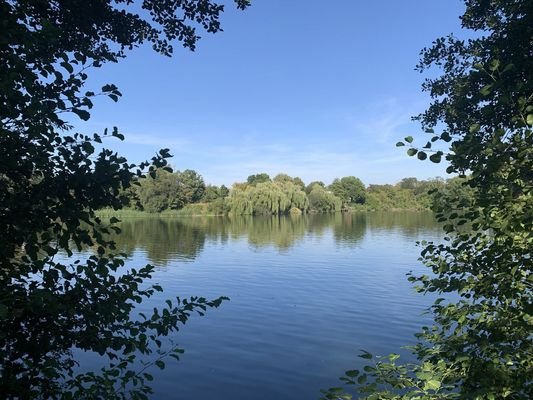 Seeblick nach Osten