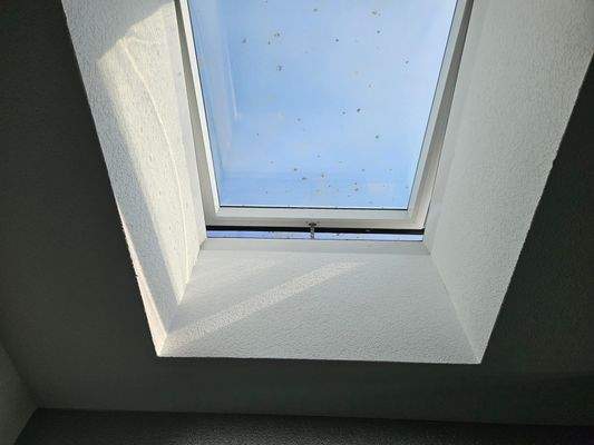 Lichtkuppel der Diele