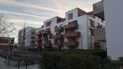 Bonn Wohnungen, Bonn Wohnung mieten