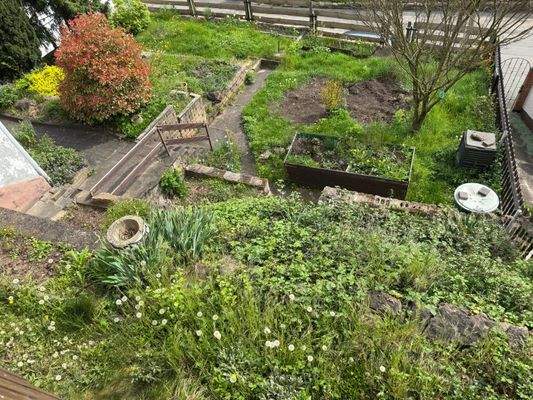 Grundstück Vorderseite (2)