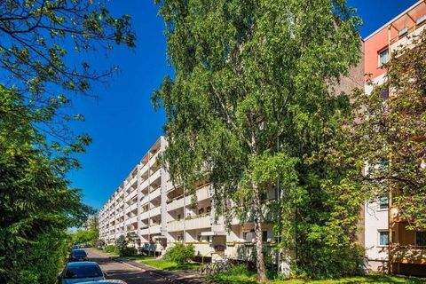 Dresden Wohnungen, Dresden Wohnung mieten