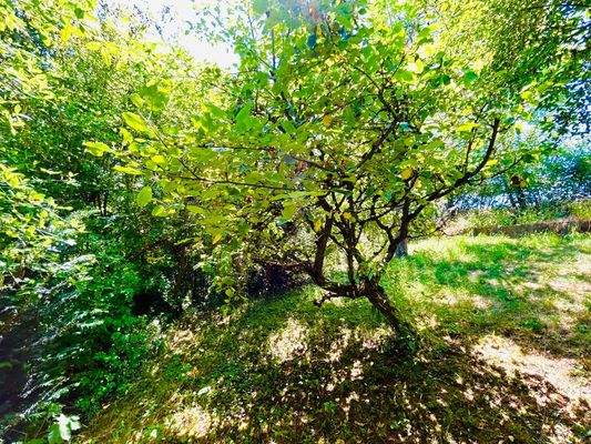 In Ihrem Garten gen Süden & Westen