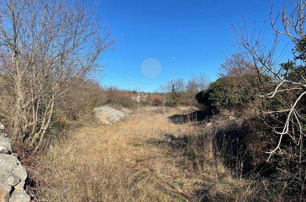 Hier könnten schon bald zwei Traum-Villen stehen