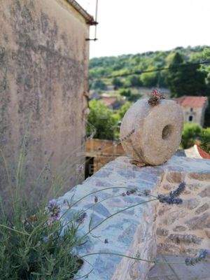 Steinhaus auf Hvar – Ruhe & Schönheit vereint