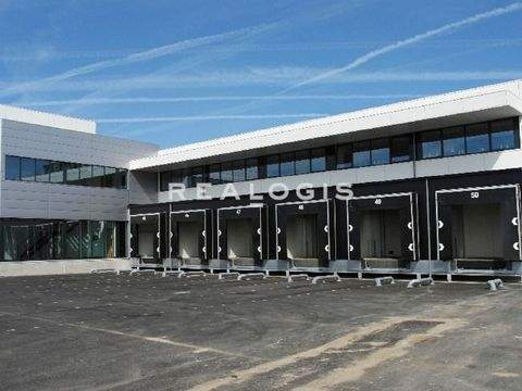 Erlensee Halle, Erlensee Hallenfläche