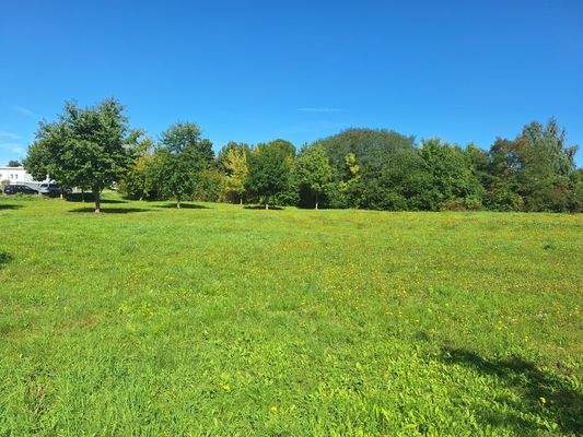 Blick über das Grundstück