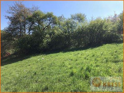 Schlüchtern Grundstücke, Schlüchtern Grundstück kaufen