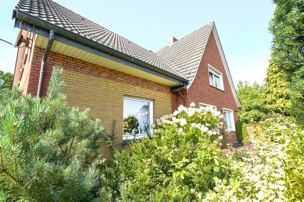 Bild 38