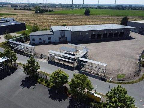 Bad Lippspringe Halle, Bad Lippspringe Hallenfläche