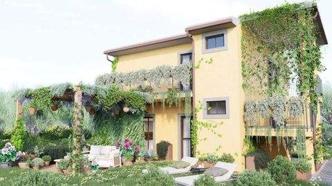 Castagneto Carducci Häuser, Castagneto Carducci Haus kaufen