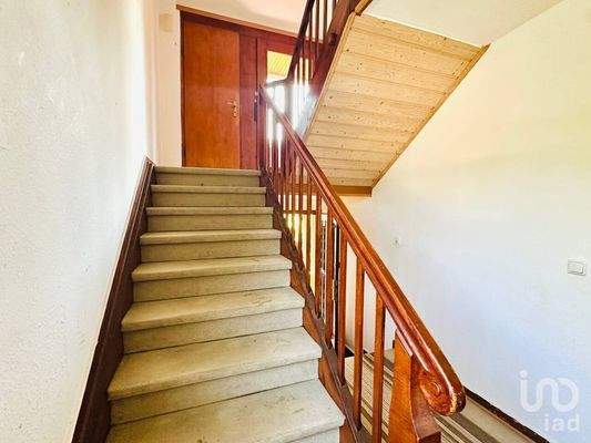 Treppenhaus – Zugang zu den Wohneinheiten – helles Treppenhaus mit Fenster