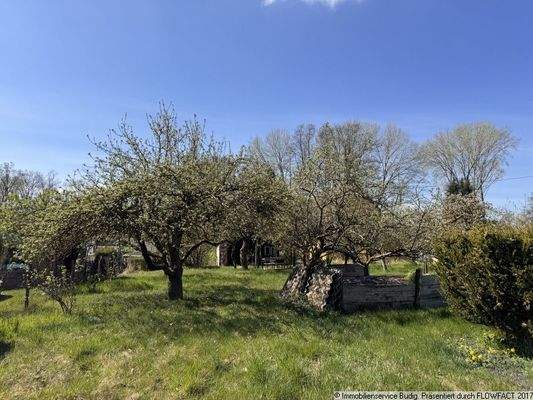 Obstbäume auf dem Grundstück