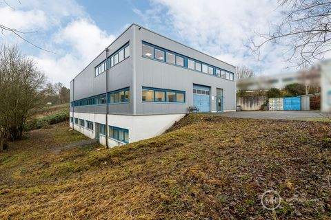 Neunkirchen-Seelscheid Halle, Neunkirchen-Seelscheid Hallenfläche