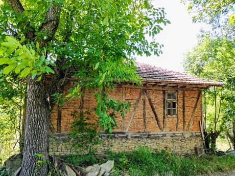 Apriltsi Häuser, Apriltsi Haus kaufen