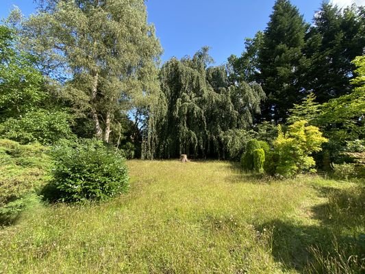 Blick zum hinteren Grundstücksteil