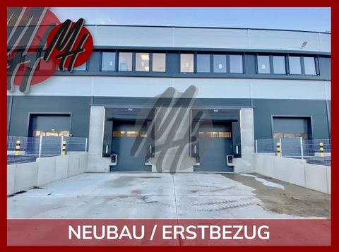 Emsdetten Halle, Emsdetten Hallenfläche