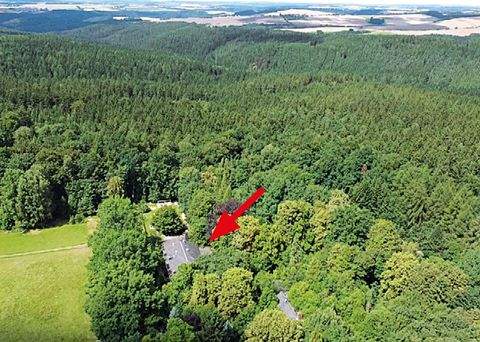 Mohlsdorf-Teichwolframsdorf Gastronomie, Pacht, Gaststätten