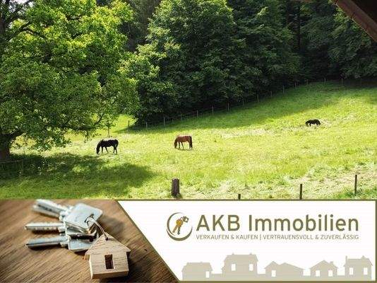 Pferdekoppel am Haus