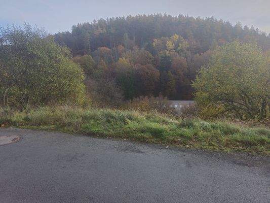 25270_Grundstück (5)